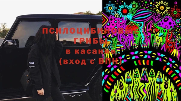 PSILOCYBIN Лихославль