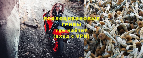 PSILOCYBIN Лихославль